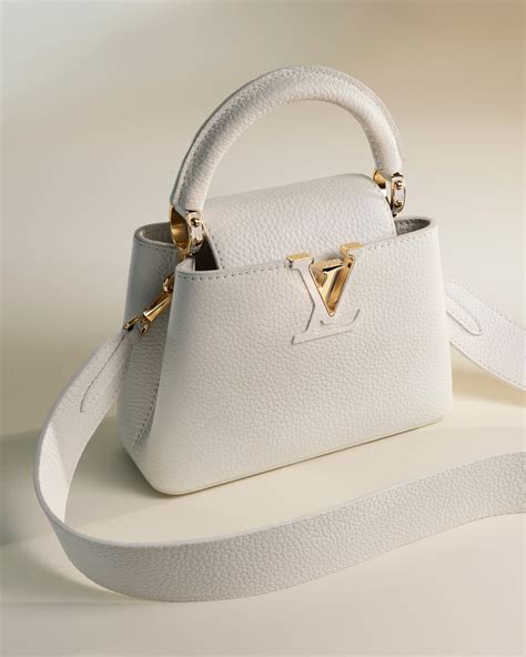 cappuccino bag louis vuitton price|capucines leather handbags.